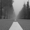 霧の道
