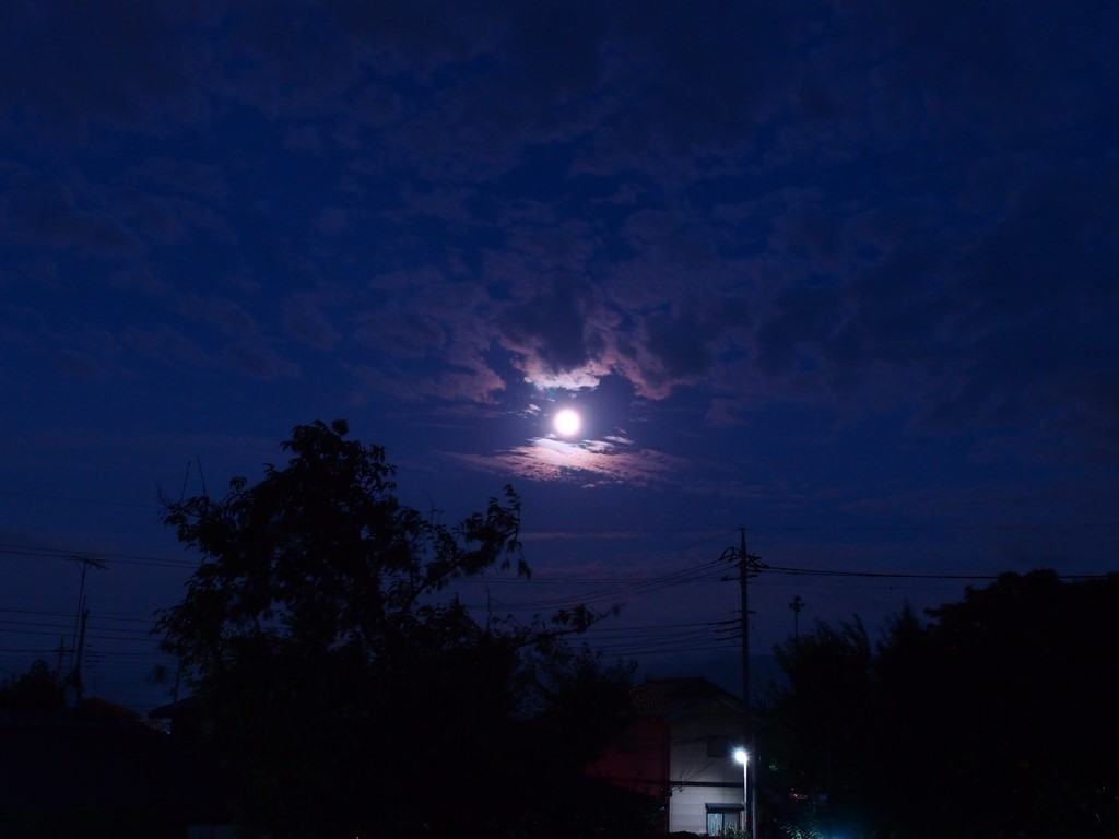 月夜
