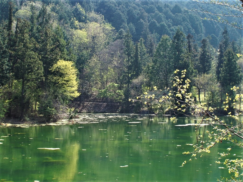 湖畔の風景 3