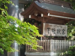 初夏の日差し