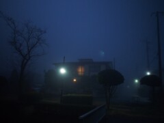 Foggy morning 1