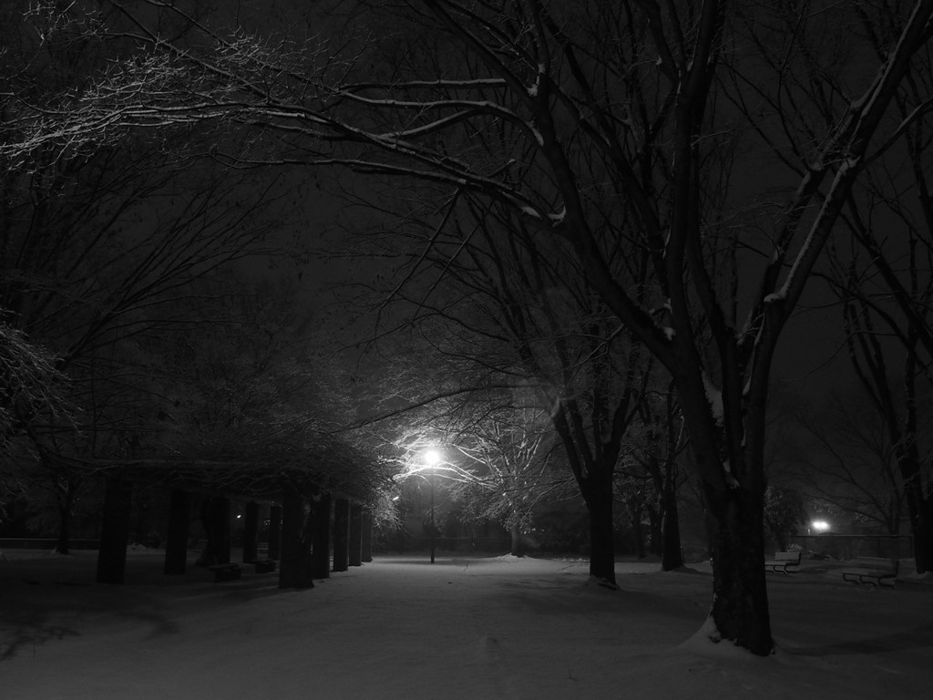 雪夜の公園 1