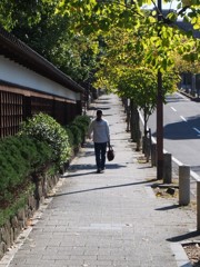 秋の道