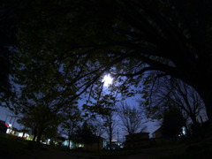 月夜