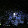月夜