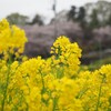 雨模様