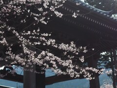 鐘楼