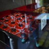 和菓子