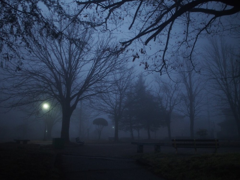 Foggy morning 2