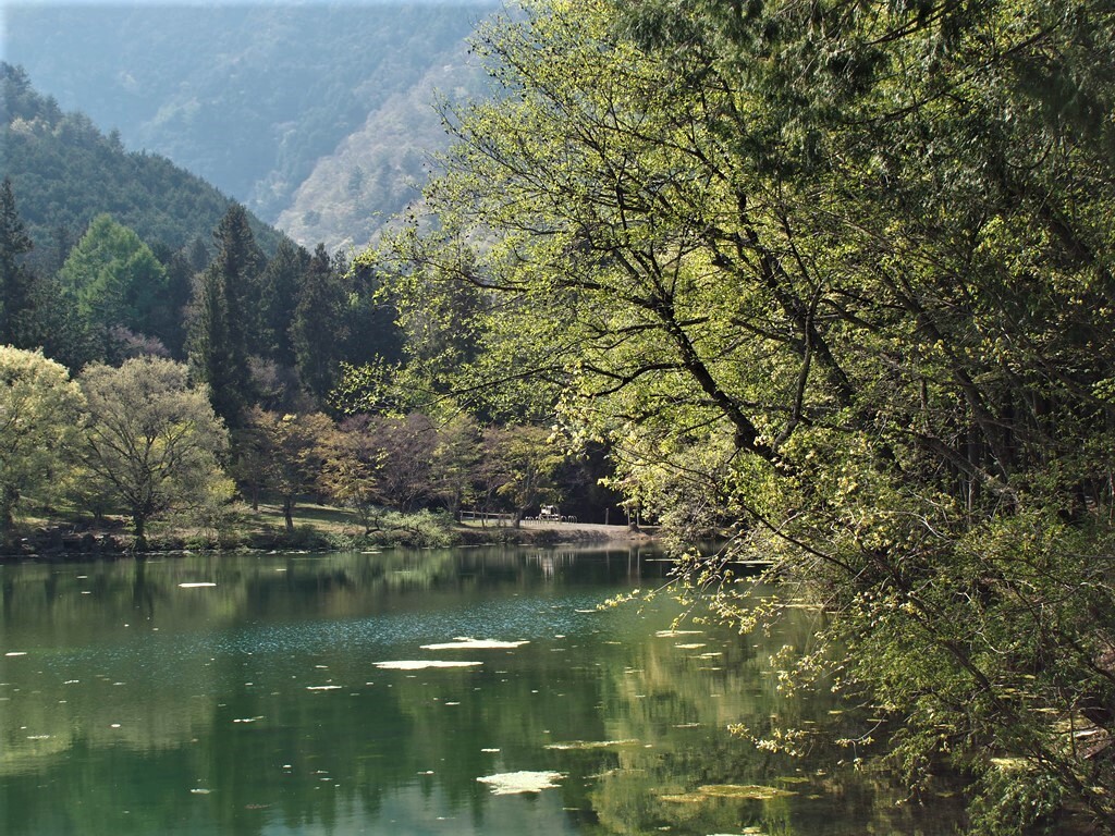 湖畔の風景 2