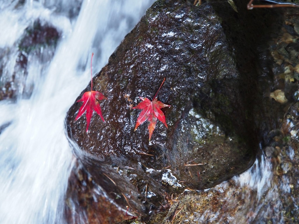清流