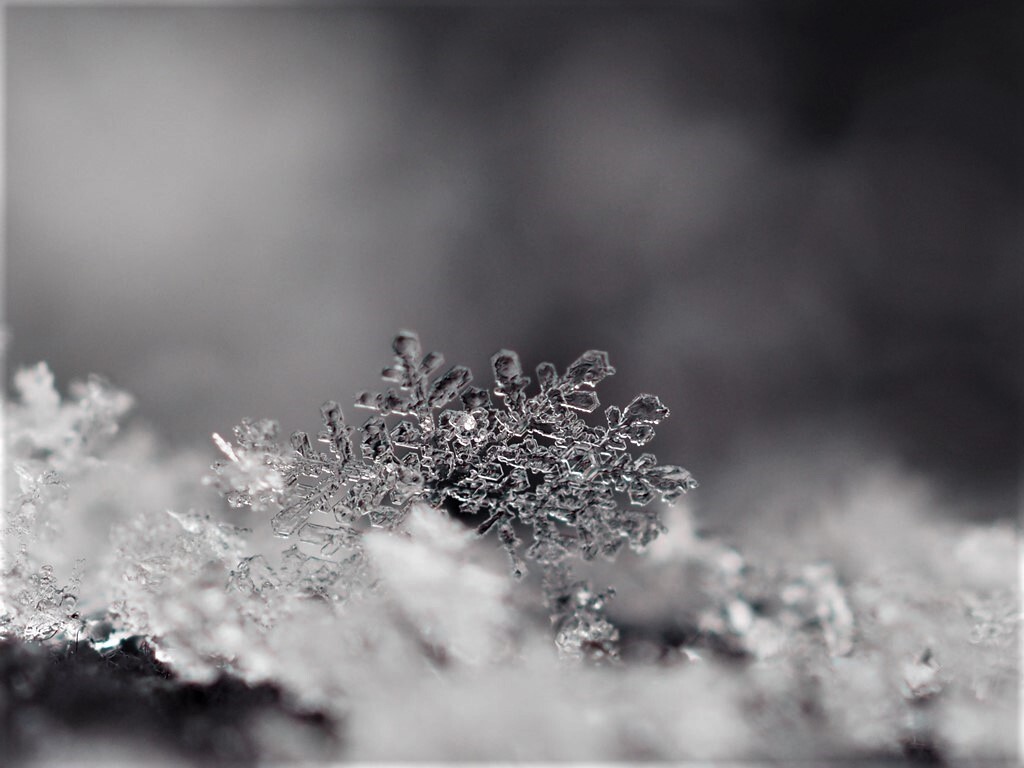 雪の結晶 4