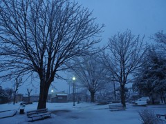 雪の夕暮れ時