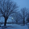 雪の夕暮れ時