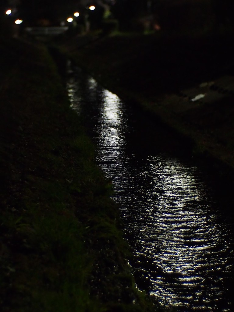 夜の小川 2