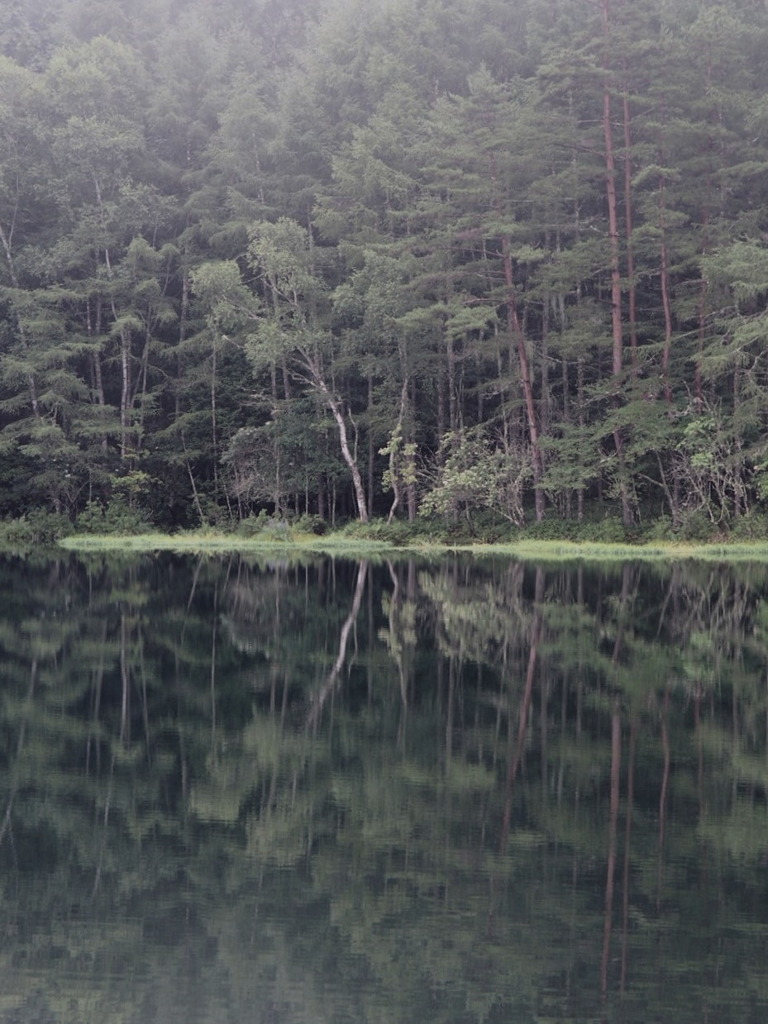 霧の湖畔 2