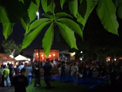 夏祭りの夜 2