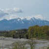 新緑と雪山