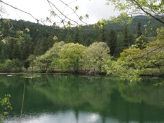 湖畔の風景 5