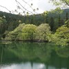 湖畔の風景 5