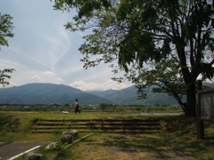 土手のお散歩