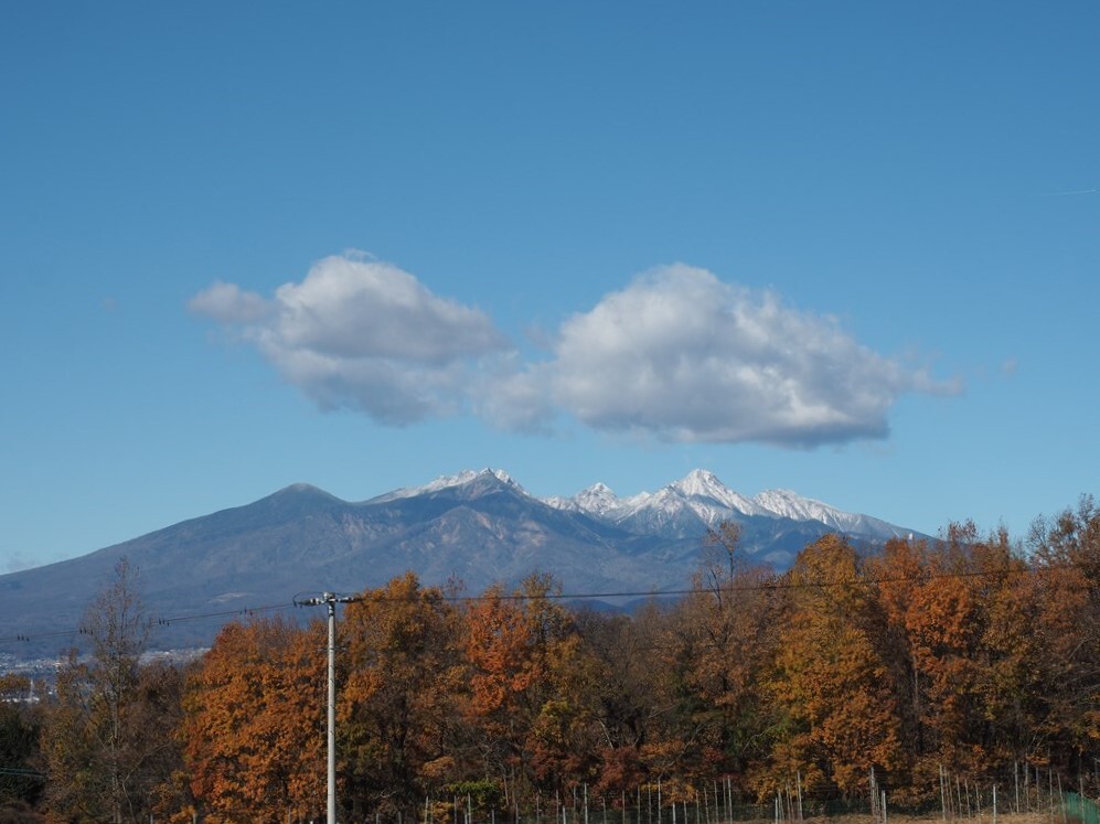 秋空