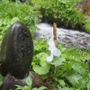 水神様