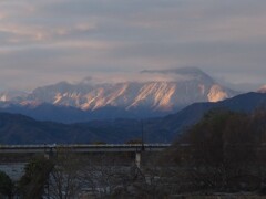 朝日に輝く