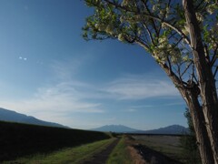 土手の風景