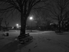 雪夜の公園 2