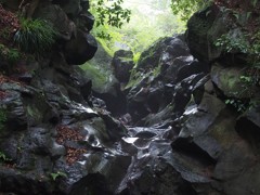 水の力