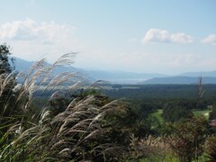 高原のそよかぜ