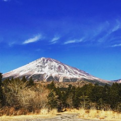 新春の富士山