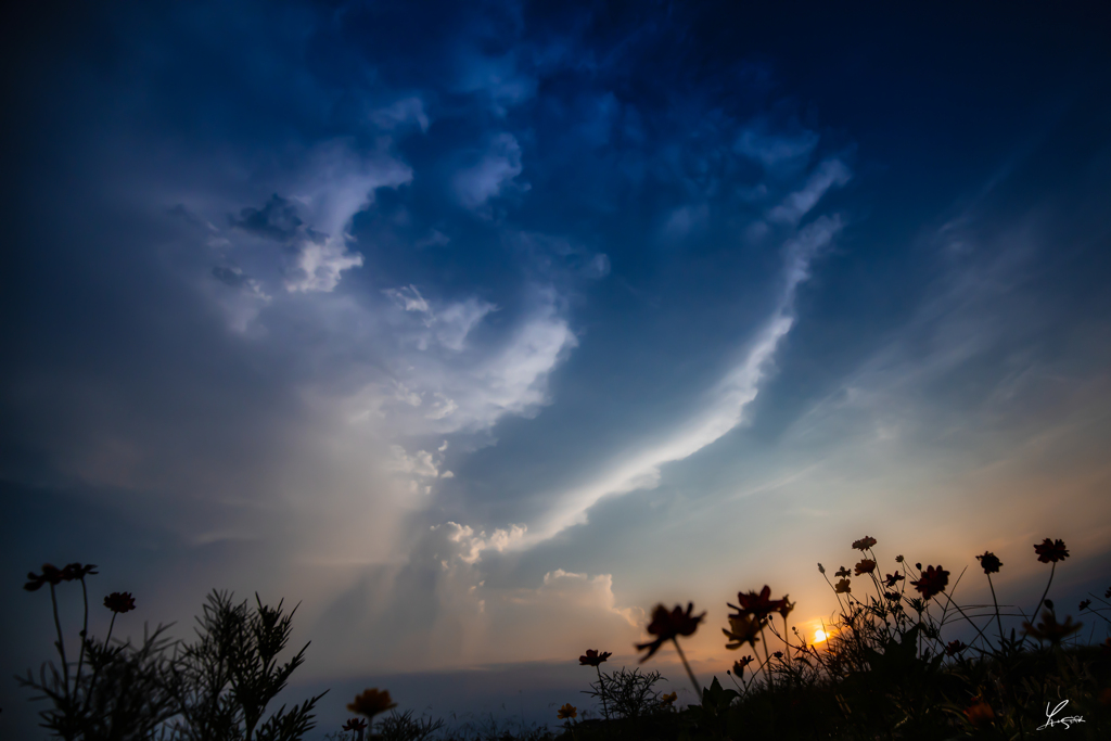 荒川土手の夕日