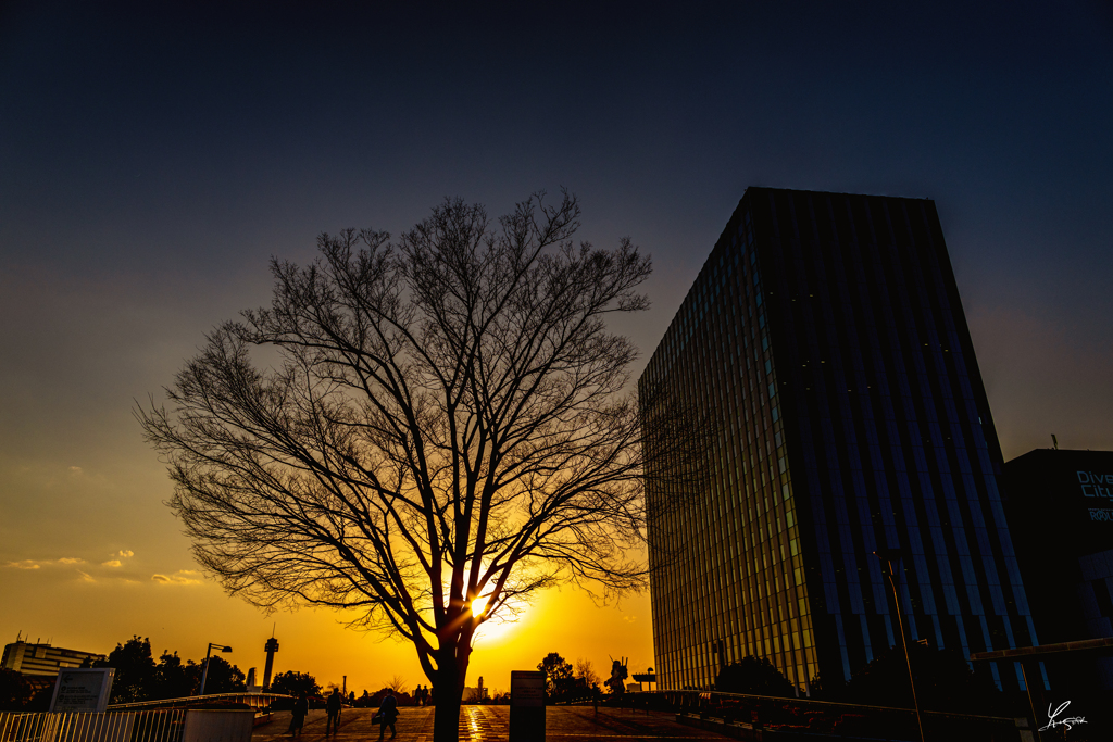 お台場夕陽