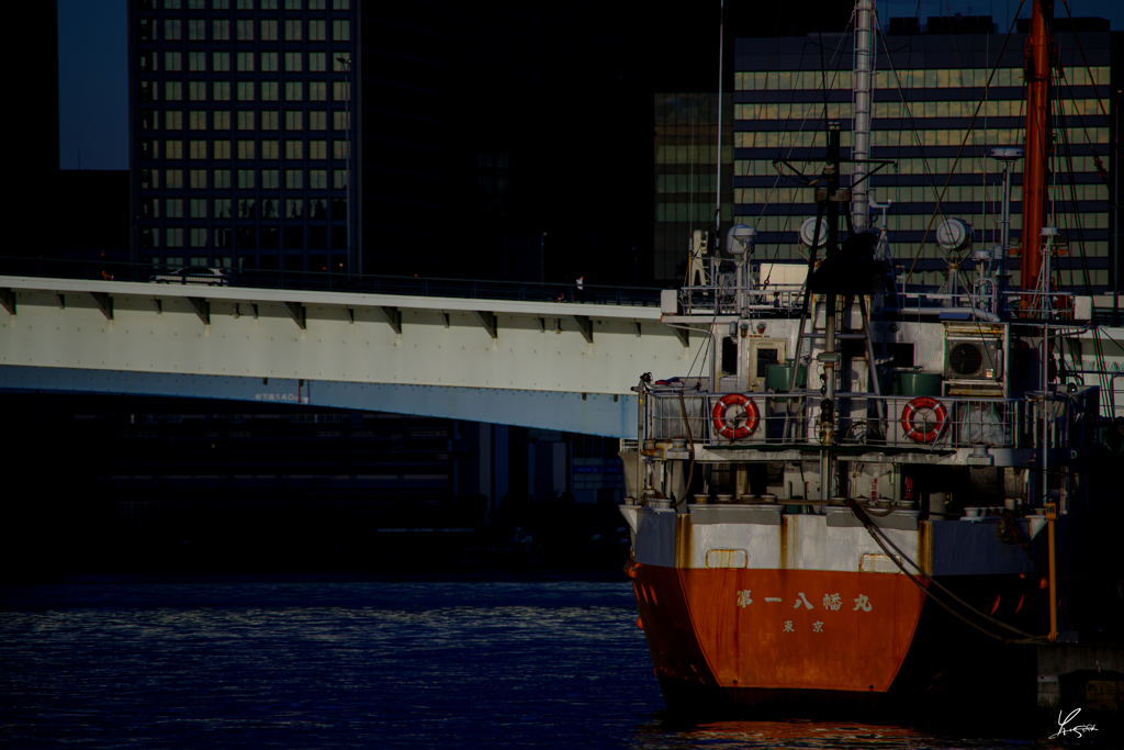 東京湾