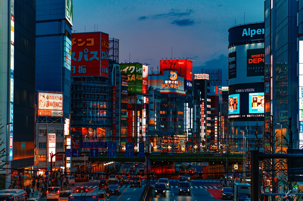 新宿の夜