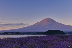 朝陽を浴びる富士
