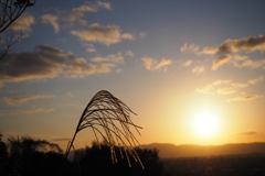 秋の夕日