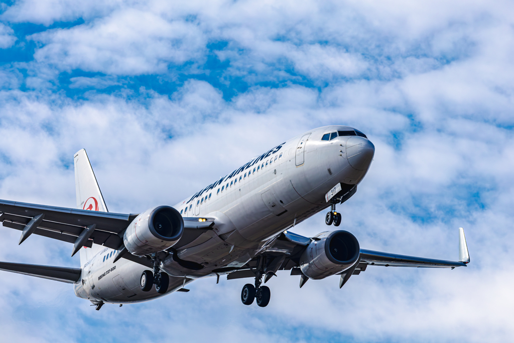 B737 JAL