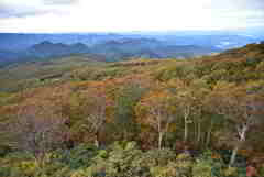 森吉山