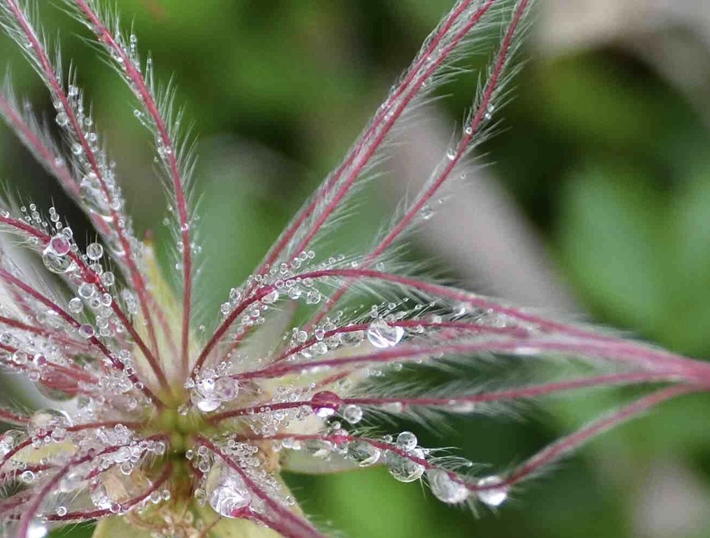 使い切った目薬容器の使い道？