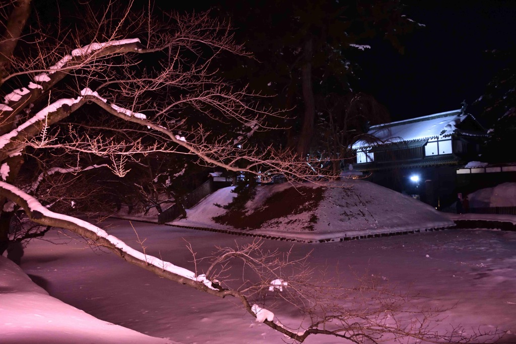 雪の桜