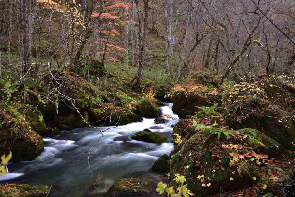 _20201107_100949