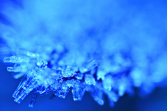 Frozen