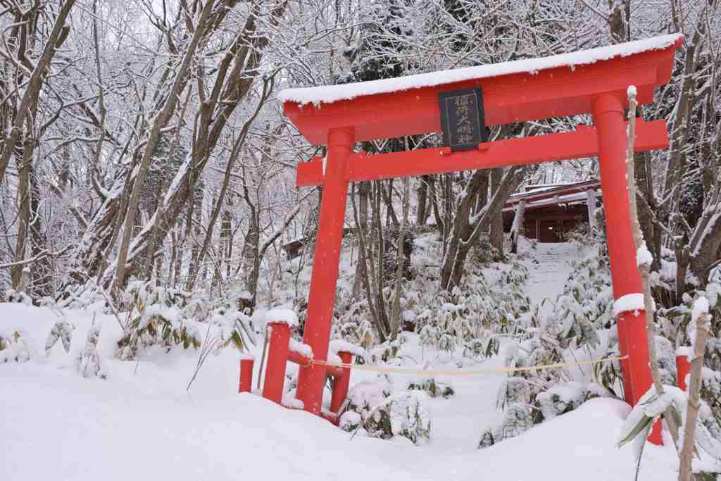 赤い鳥居が印象的でした