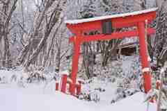 赤い鳥居が印象的でした