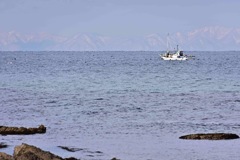 穏やかな小春日和に定置網を点検