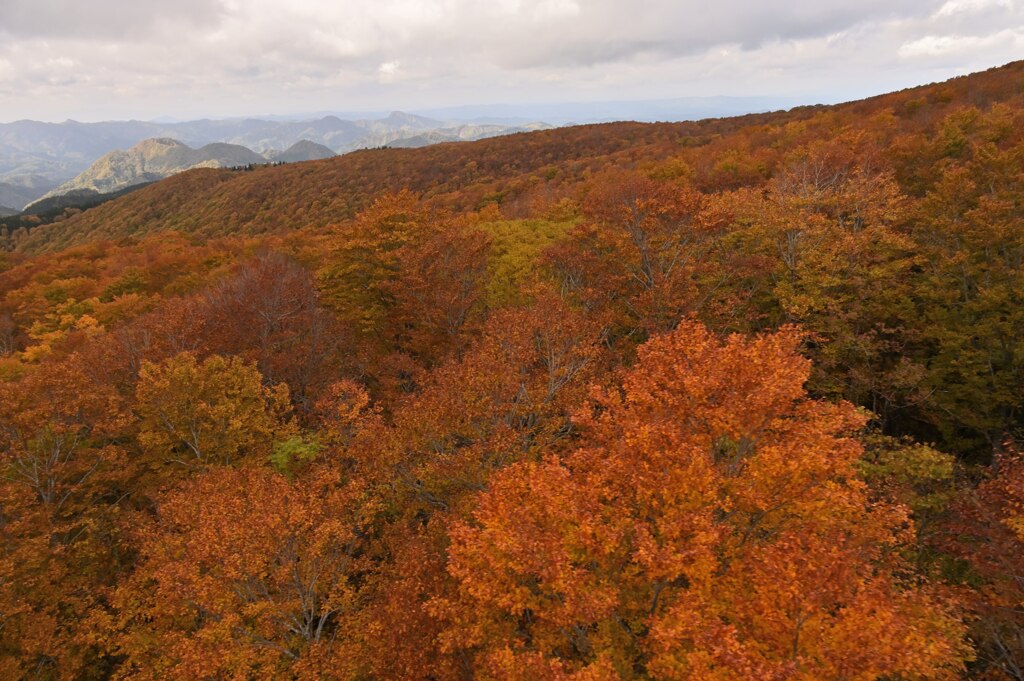 山が染まる