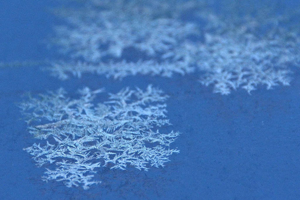 Frozen V